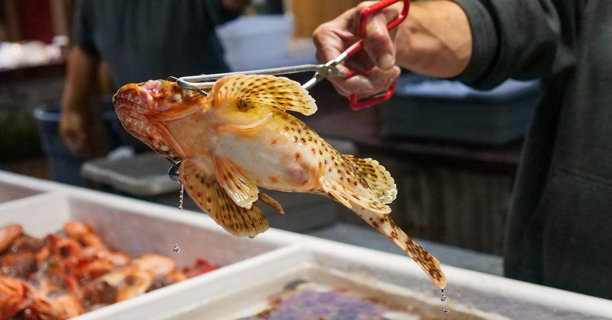 Poisson Cru (Tahitian Raw Fish Salad) — Seafood recipe plated