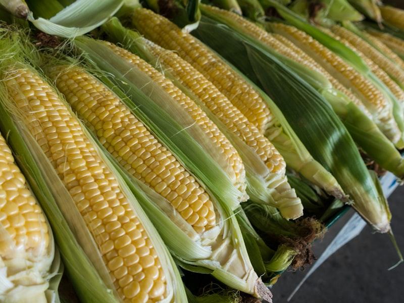 Elote (Mexican Street Corn) — Sides recipe plated